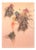 After Bruno Bruni, Delle Primavera, Print For Sale