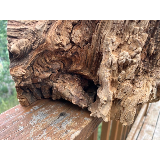 Presenting a monumental, museum-quality natural root burl sculpture sourced from the historic 1854 Pikes Peak "Big Burn"...