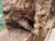 Presenting a monumental, museum-quality natural root burl sculpture sourced from the historic 1854 Pikes Peak "Big Burn"...