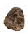 Large Petrified Coral Sculpture by Xyleia Petrified Wood For Sale - Image 9 of 9