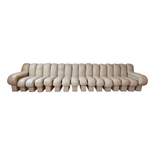 DS-600 Non Stop Snake Modular Sofa in Leather by Eleonore Peduzzi Riva for de Sede, 1980s For Sale