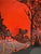 An original signed, titled, and editioned print, "Conflagration," by Barbara Shannon. The composition is executed in a...