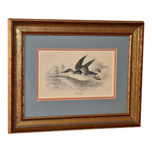 19th Century W.H.Lizars Framed Engraving