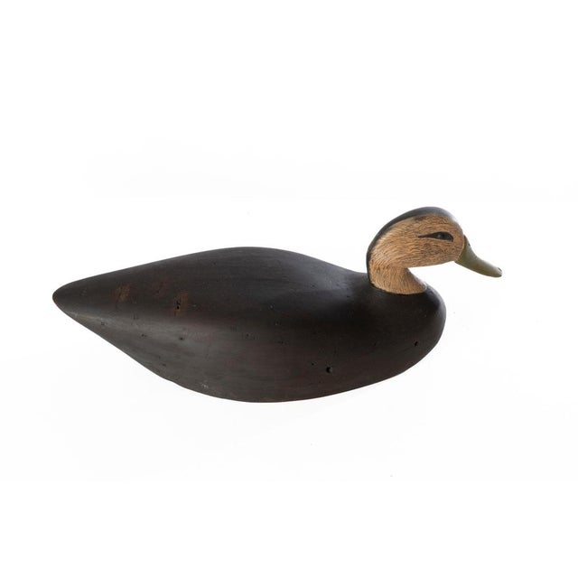 Early 20th Century Duck Decoy For Sale - Image 5 of 12