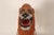 American Folk Art Hand-Carved and Painted Solid Pine Stationary Standing Lion For Sale - Image 9 of 18