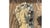 Vintage Coastal Plaster Shell Bust of Woman For Sale - Image 11 of 12