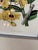 Yellow Yellow Botanical Art Prints, Set of Three For Sale - Image 8 of 12