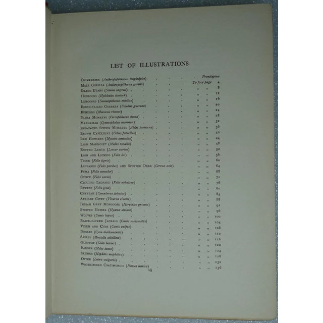 Red Early 20th Century Illustrated Volume Set, Frank Finn's the Wild Beasts of the World - 2 Books For Sale - Image 8 of 12