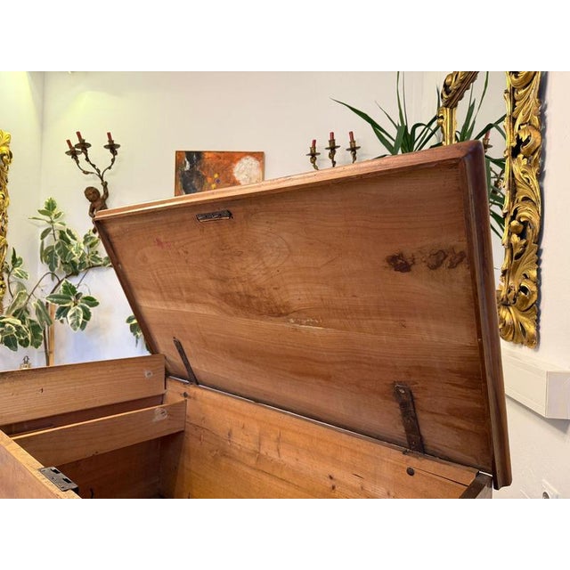 Rustic Hand-Painted Tyrolean Chest For Sale - Image 11 of 17