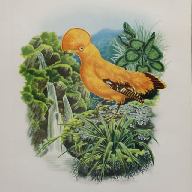 This beautiful chromolithographic print is from the first edition of the Argentian artist Axel Amuchastegui's work, Love...