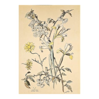 1880's Large Rare Antique Hand-Colored Botanical Lithograph by Henri Lambert-Iris, Cherry Blossoms For Sale
