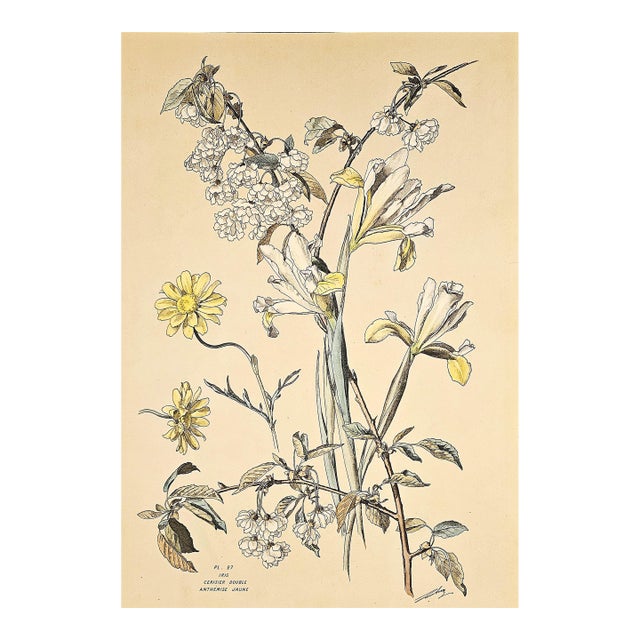 1880's Large Rare Antique Hand-Colored Botanical Lithograph by Henri Lambert-Iris, Cherry Blossoms For Sale