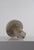 1980s Vintage Lido Glass Table Lamp from Peill & Putzler, 1980s For Sale - Image 5 of 9