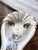 Reed & Barton Antique Silver Plated Davenport Hotel Nut Dish For Sale - Image 4 of 5