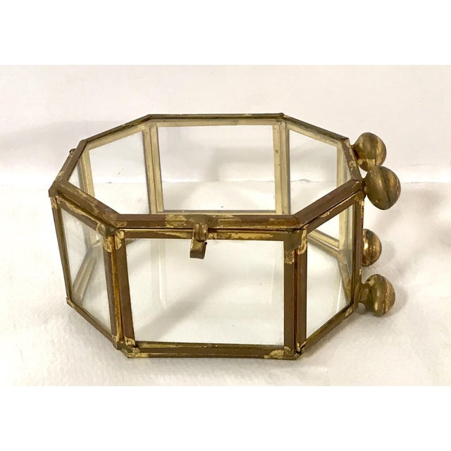 MidCentury Modern Brass & Glass Mini Curio Box Chairish