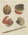 Bertuch, Shipworm and Sea Pen, 1800, Engraving For Sale - Image 3 of 10