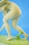 20th Century Art Deco Ceramic Nude Woman Sculpture by Josef Lorenzl for Goldscheider, Austria For Sale - Image 15 of 18