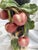 Classic Trio of Vintage 1960s Italian Barbotine Majolica Vases Visceral Composition For Sale - Image 13 of 17
