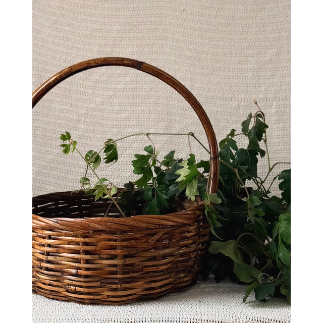 1950s Vintage Handwoven Gathering Basket With Tall Handle For Sale - Image 5 of 6