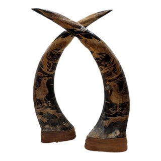 Antique Carved Buffalo Horns Sculptures - Pair For Sale