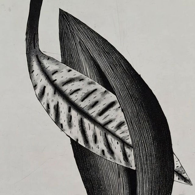 Jerzy Dmitruk, Love Letter (Trees of Revelation), 2015, Etching For Sale - Image 4 of 6