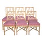 Shop Thrive Decor