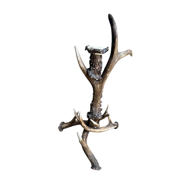 Cabin Black Forest Antler Candelabra For Sale - Image 3 of 4