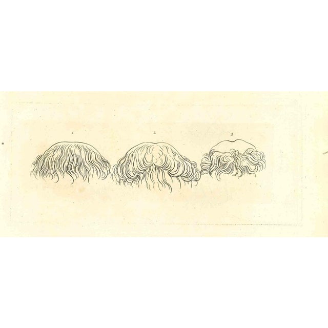 Thomas Holloway, The Physiognomy, Hairstyles, Original Etching, 1810 For Sale