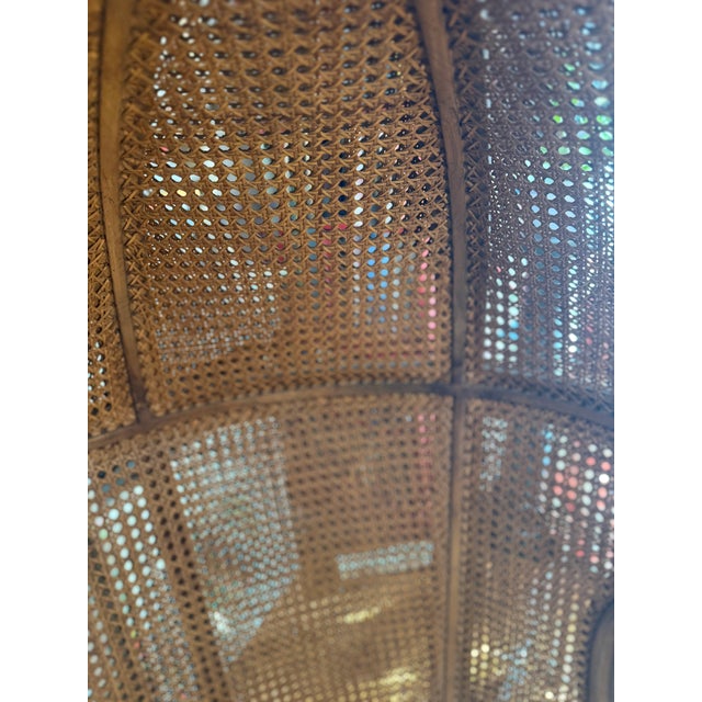 Wood 1930s Cane Back French Louis XVI Porter’s Hall or Canopy Chair For Sale - Image 7 of 15