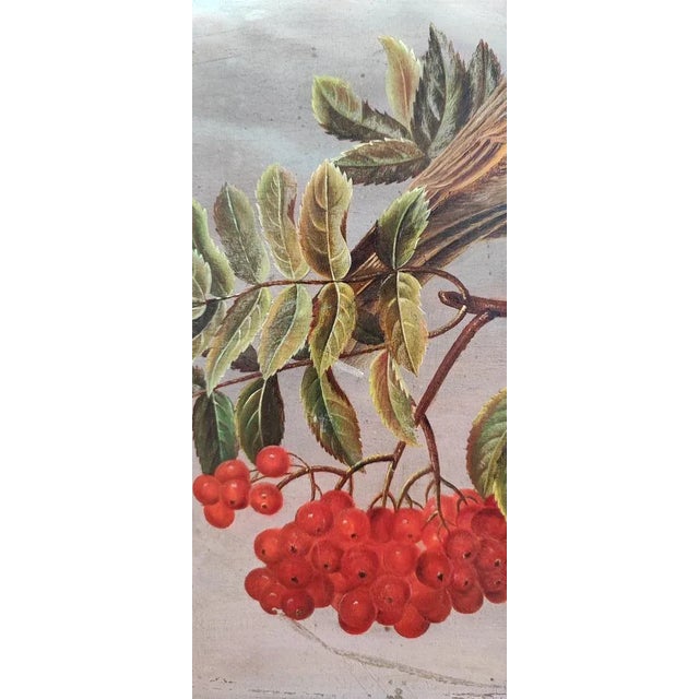 C.B. Hjortdal, Couple d'Oiseaux sur une Branche Fruitée, Oil on Wood, Framed For Sale - Image 4 of 11