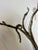 Mid-Century Modern Bronze Coast Rack, Italy, 1970s For Sale - Image 3 of 6