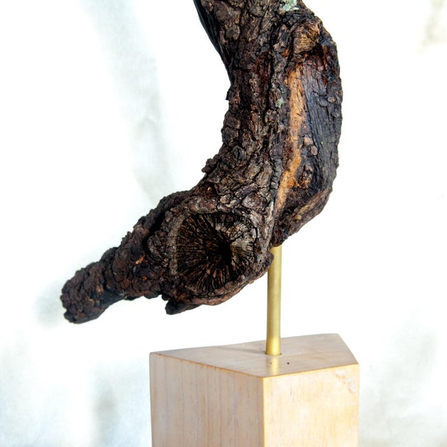 2020s Wabisabi Organic Modern Wood Sculpture For Sale - Image 5 of 9