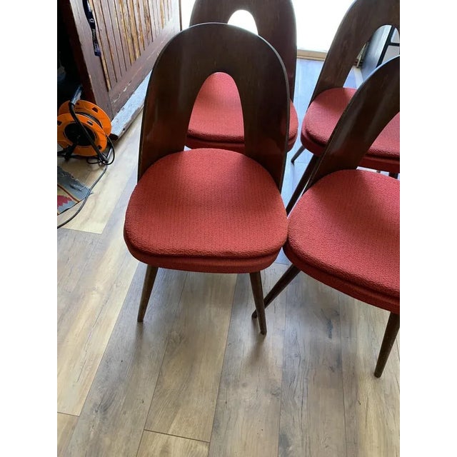 Mid-Century Dining Chairs by Antonín Šuman for Tatra Furniture, 1960s, Set of 4 For Sale - Image 4 of 8