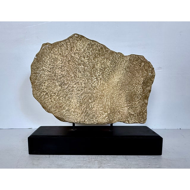 Mid 20th Century Mid 20th Century Horse Head Casted Sculpture For Sale - Image 5 of 12