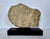 Mid 20th Century Mid 20th Century Horse Head Casted Sculpture For Sale - Image 5 of 12