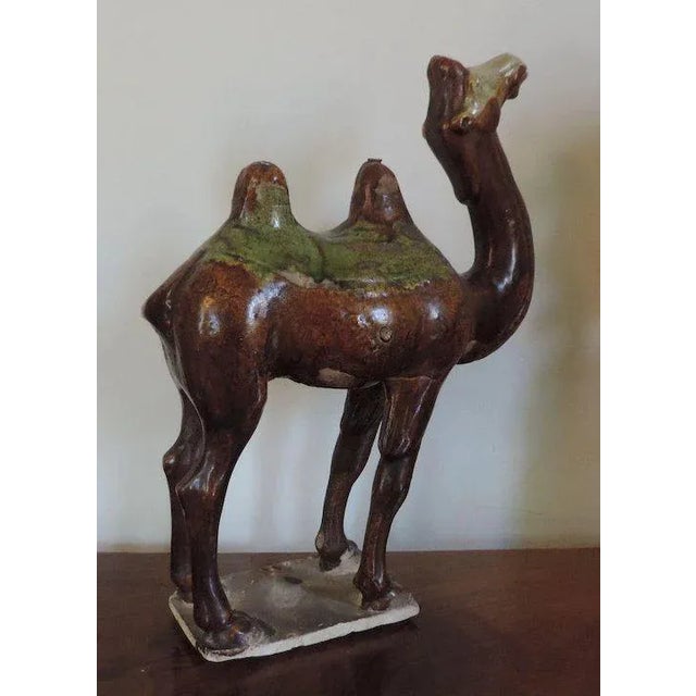 Late 19th Century Chinese Tang Pottery Model of a Camel For Sale - Image 5 of 11