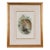 Tawny or Brown Owl: A Framed Original 19th C. Hand-Colored Lithograph by Gould, 1862-1873 For Sale