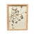 1893 Herbarium Botanical Specimens, Set of 12 For Sale - Image 9 of 18