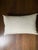 Jasper Michael S Smith Malmaison Lumbar Pillow Cover in Jardin For Sale - Image 4 of 7