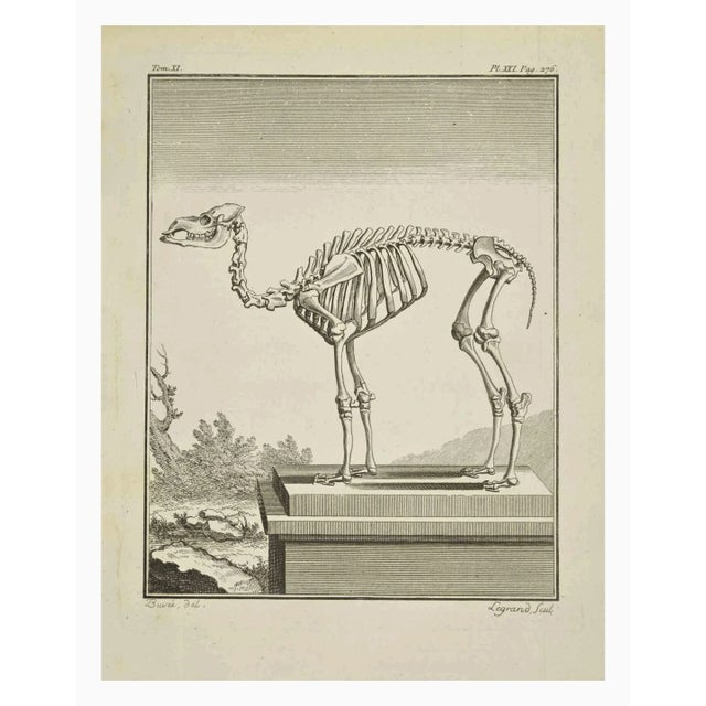The skeleton is an etching realized in 1771 by Louis Legrand (1723-1807). Titled and signed on the flat. The Artwork...