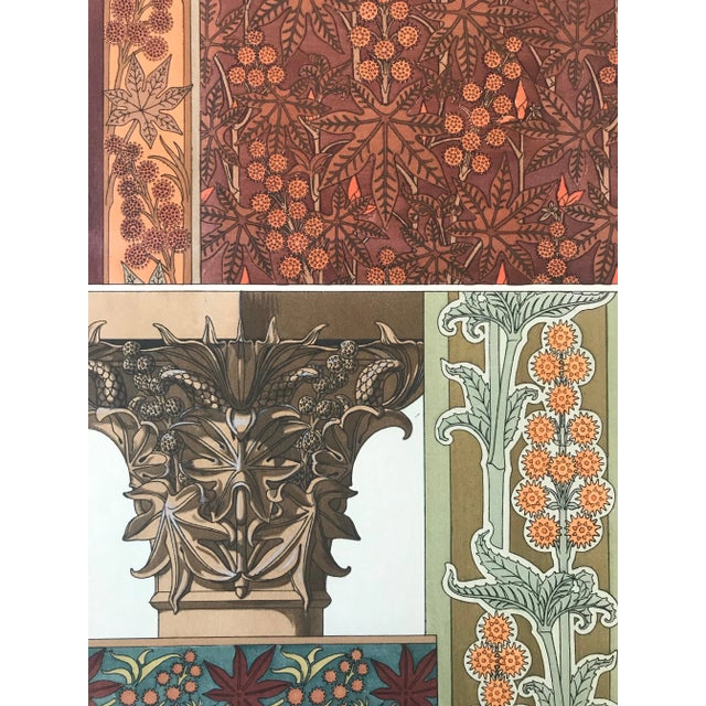 Art Nouveau 1896 French Decorator Pochoir, Castor Oil Plant (Plate 20) For Sale - Image 3 of 4