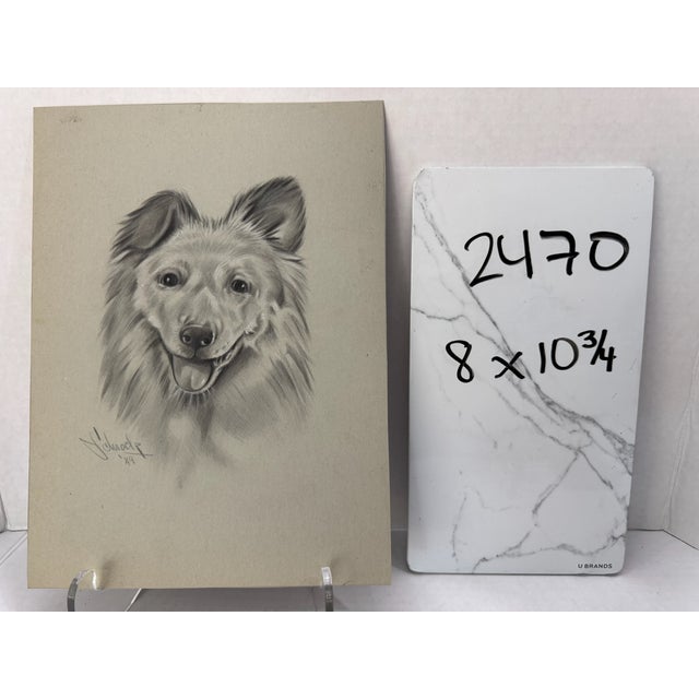 1940s Original Signed Graphite Illustration of Shetland Sheepdog Portrait, 10.75 × 8 In. For Sale In Atlanta - Image 6 of 6