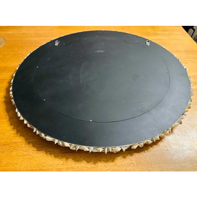 Palm Beach Seashell Encrusted Round Mirror Circa 1970s For Sale - Image 4 of 9