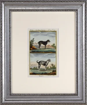 19th Century Antique Hand Colored French/Belgian Dog Lithograph by Buffon