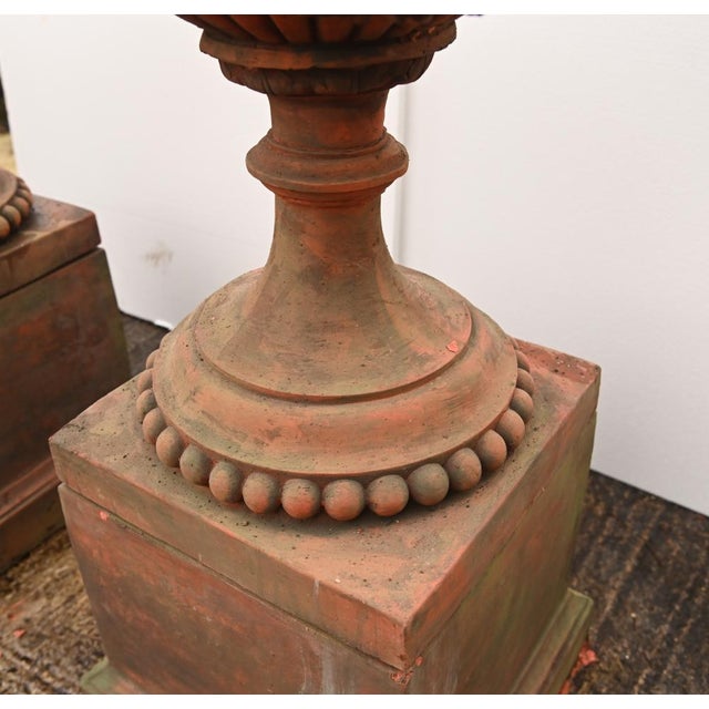 English Country Terracotta Garden Urns with Rams Heads, Set of 2 For Sale - Image 5 of 13
