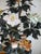 Late 20th Century Life-Size Jade Carnelian Quartz Tree in Cloisonne Pot - 12 Flowers For Sale - Image 5 of 9