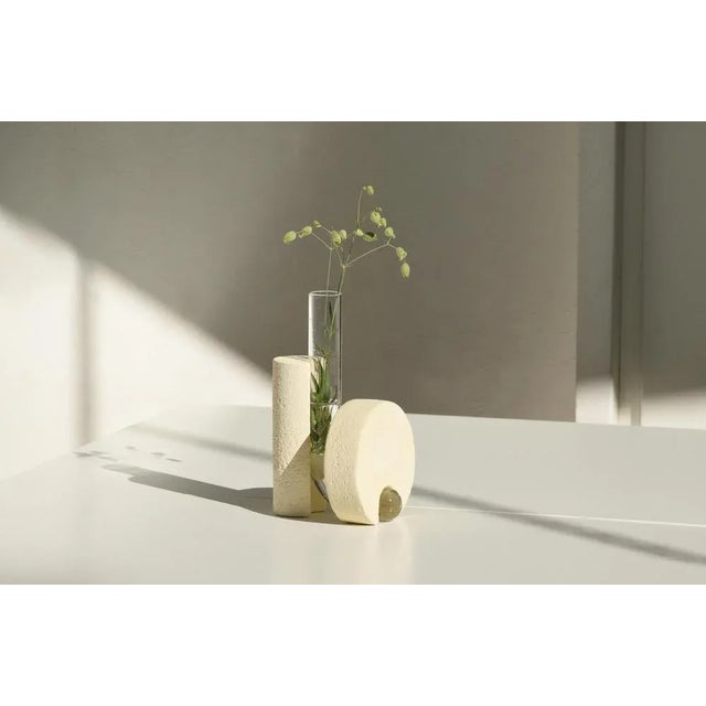 Glass Clear Cochlea Della Metamorfosi 2 Vase by Coki Barbieri For Sale - Image 7 of 9