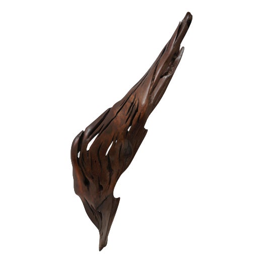 S1100 Decorative Object in Tropical Driftwood by Jörg Pietschmann For Sale