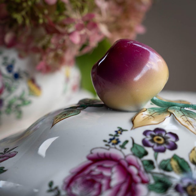 Ceramic Antique French Soup Tureen from Lunéville, Early 20th Century For Sale - Image 7 of 18