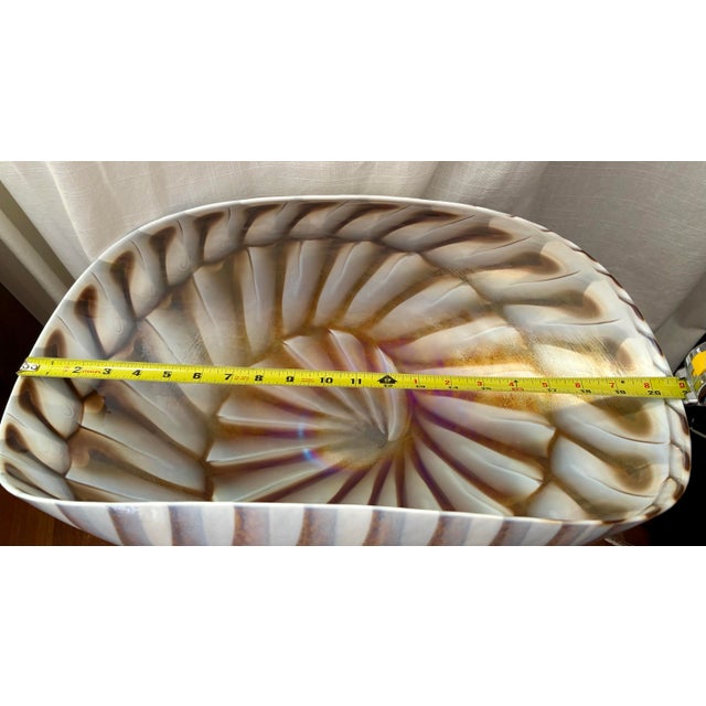 1950s 1950s Murano Attributed- Nautilus Glass Shell Bowl For Sale - Image 5 of 7